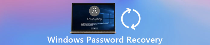 Windows Password Recovery