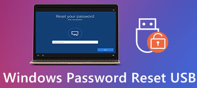 Windows Password Reset USB