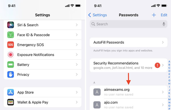 View Passwords iPhone