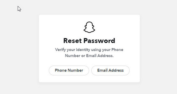 Nulstil Snapchat Password Interface