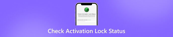 Check Activation Lock Status