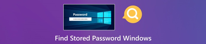 Find Stored Password Windows