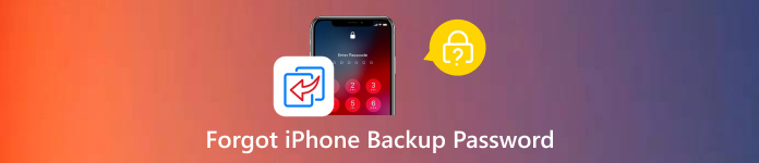 忘记 iPhone 备份密码