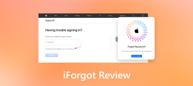 iForgot Recenzija