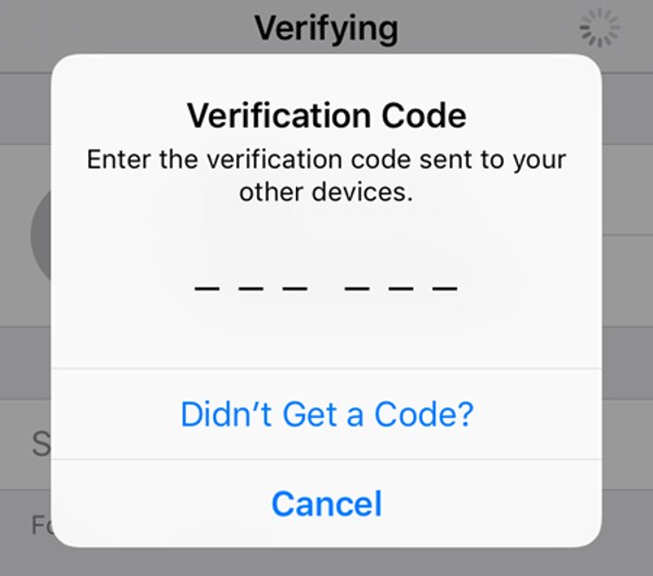 Verification Code Text