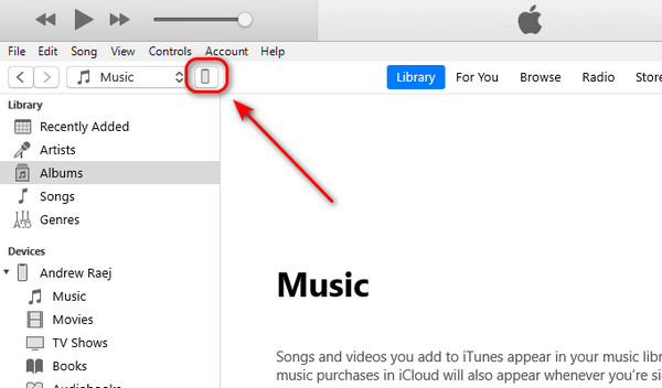 Connect iPhone to iTunes