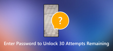 Enter Password to Unlock 30 Attempts Remaining