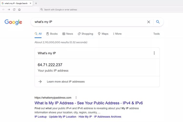 Google 我的 IP 是什么