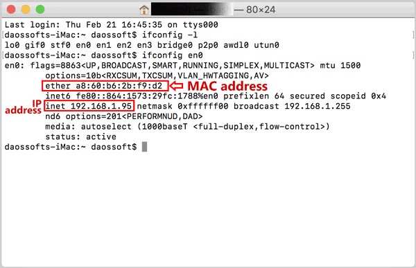 Terminal IP Mac