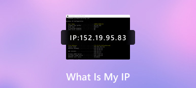 ما هو عنوان IP الخاص بي؟