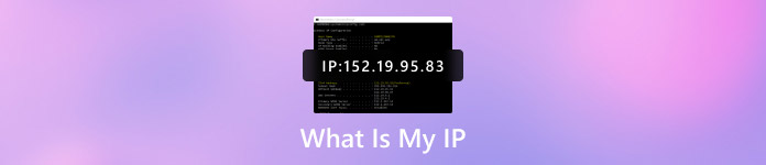 ما هو عنوان IP الخاص بي؟