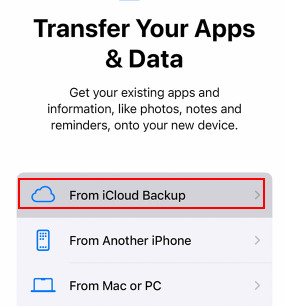 iCloud From iCloud Backup