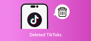 Tiktoks S deletados