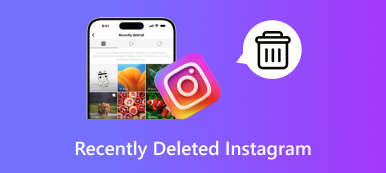 Instagram Excluído Recentemente S