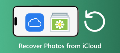 Fotoğrafları iCloud'dan Kurtarın