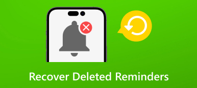 Recover Deleted Reminders S