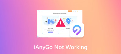 iAnyGo Not Working S