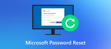 Microsoft Password Reset-s