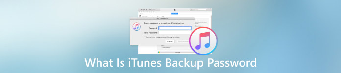 รหัสผ่านการสำรองข้อมูล iTunes คืออะไร